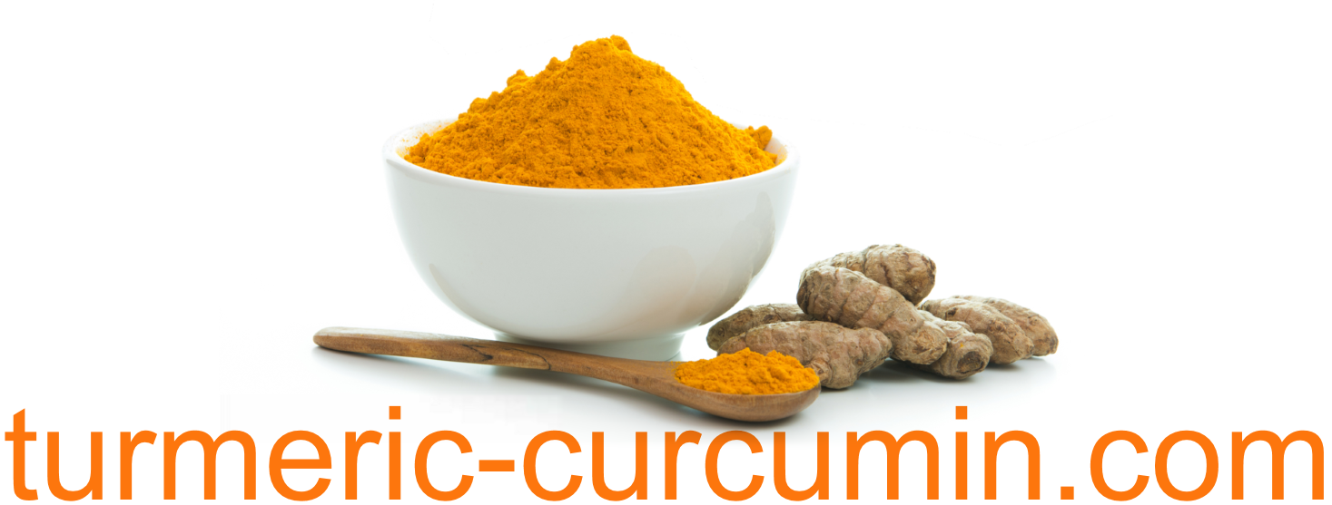What Is turmeric curcumin?
